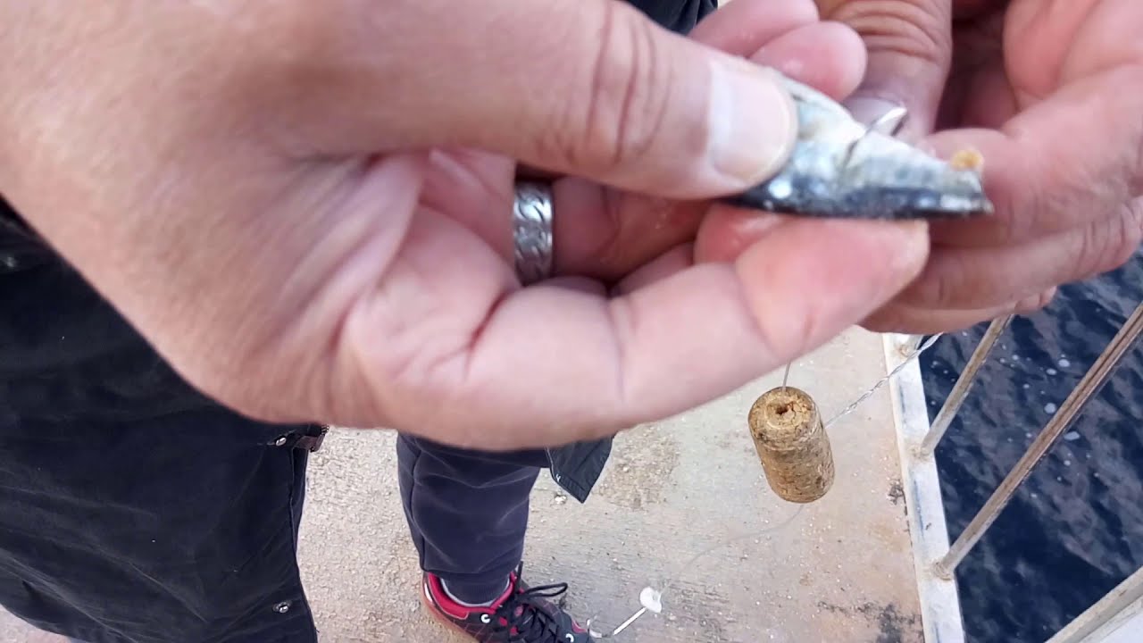 USTALARDAN BİLİNMEYEN TAKIM ÖNERİLERİ 🐟 Kefal - Yılan Dili 🎣 Balık Avı Ve Teknikleri