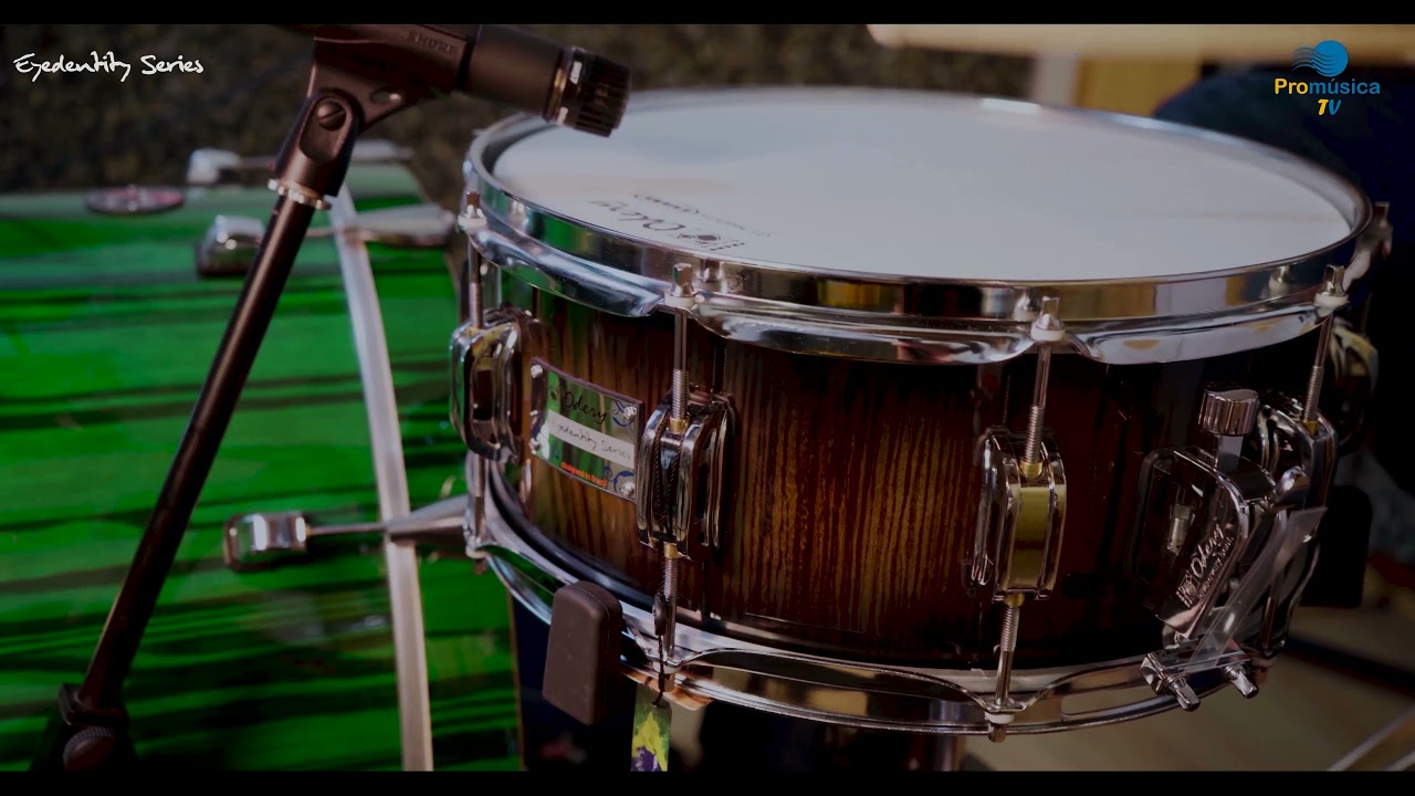 Odery Eyedentity 14x06” Tiger Black Burst