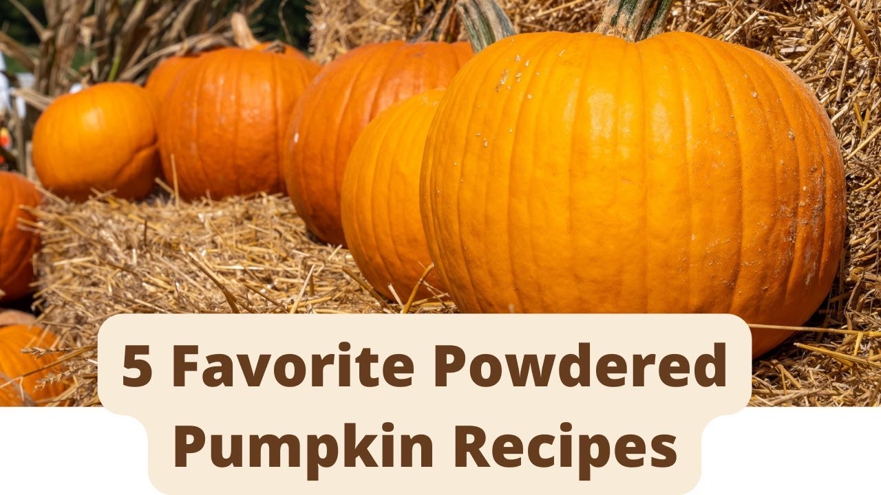 5 Favorite Pumpkin Powder Recipes