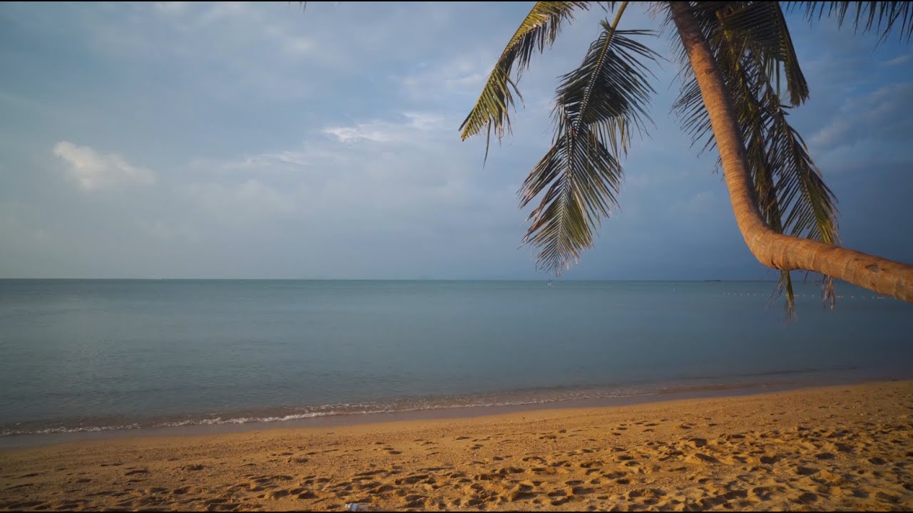 Шум моря и морской прибой . Звуки волн для отдыха и сна . Звуки природы . Релакс под шум прибоя .