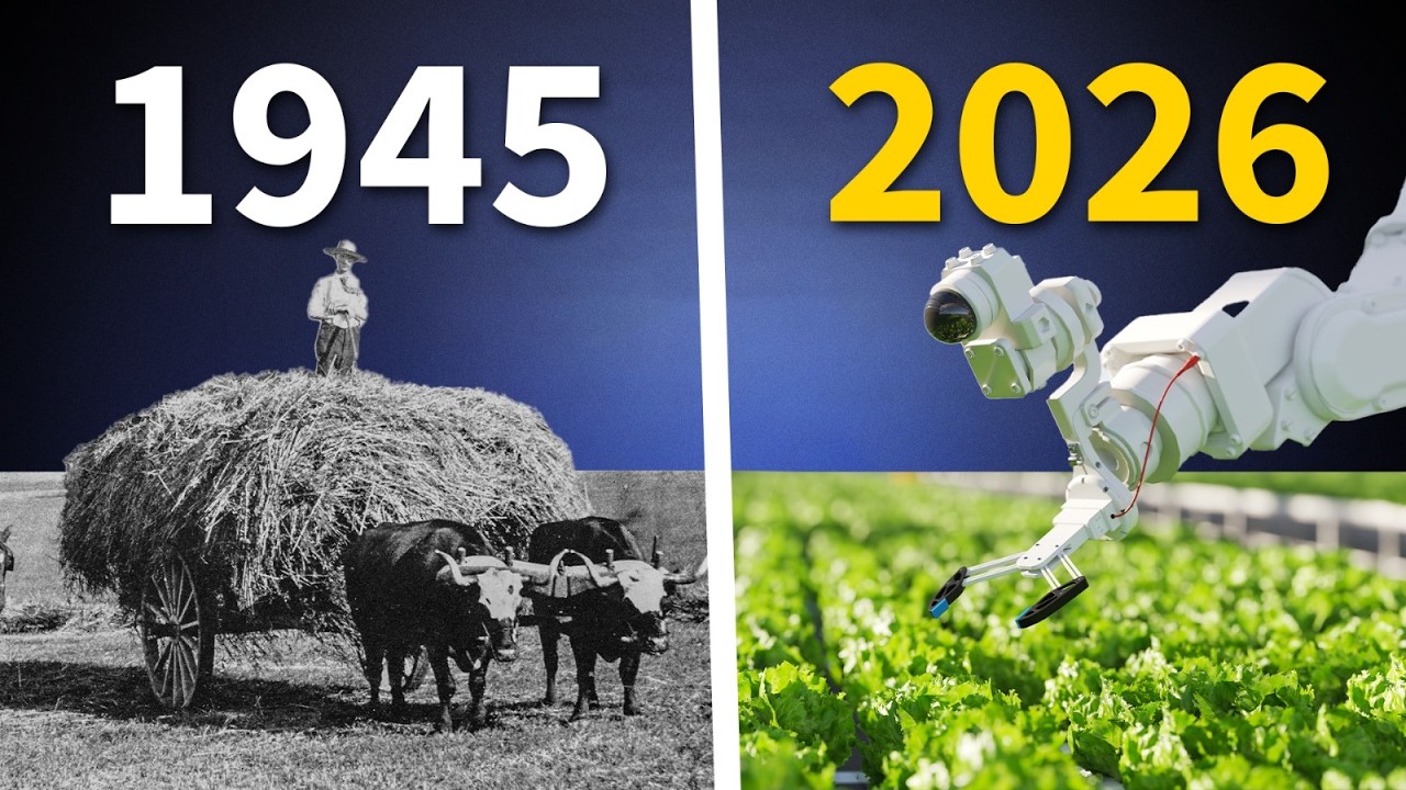 How European Farms Became the Best in the World