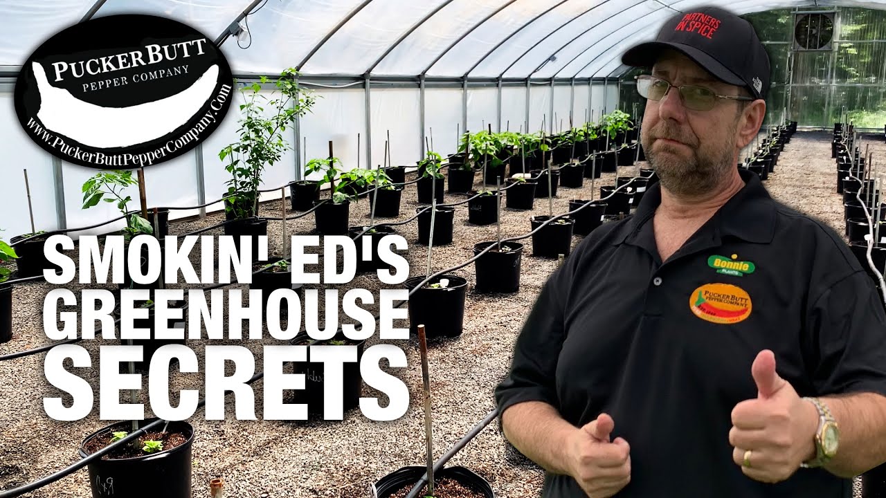 Carolina Reaper Grow Camp | How Ed Currie Sets Up His Greenhouse