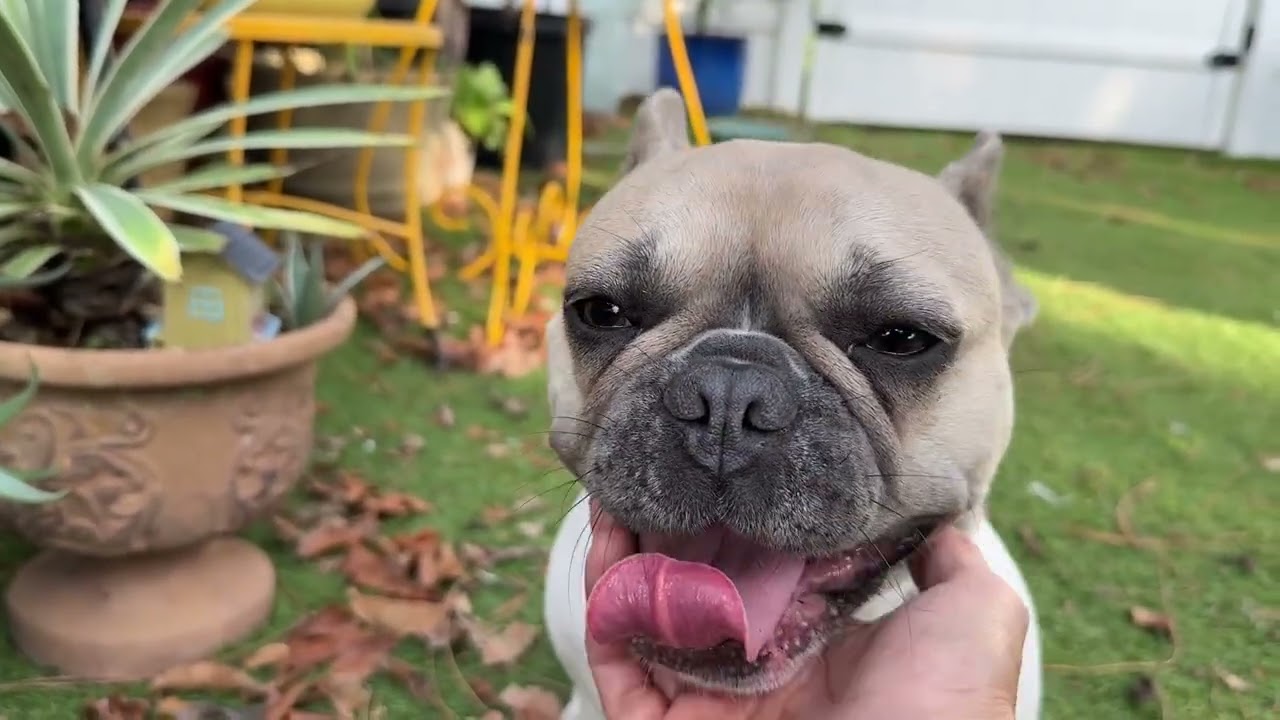 Just wanted to say hi and I miss you guys!