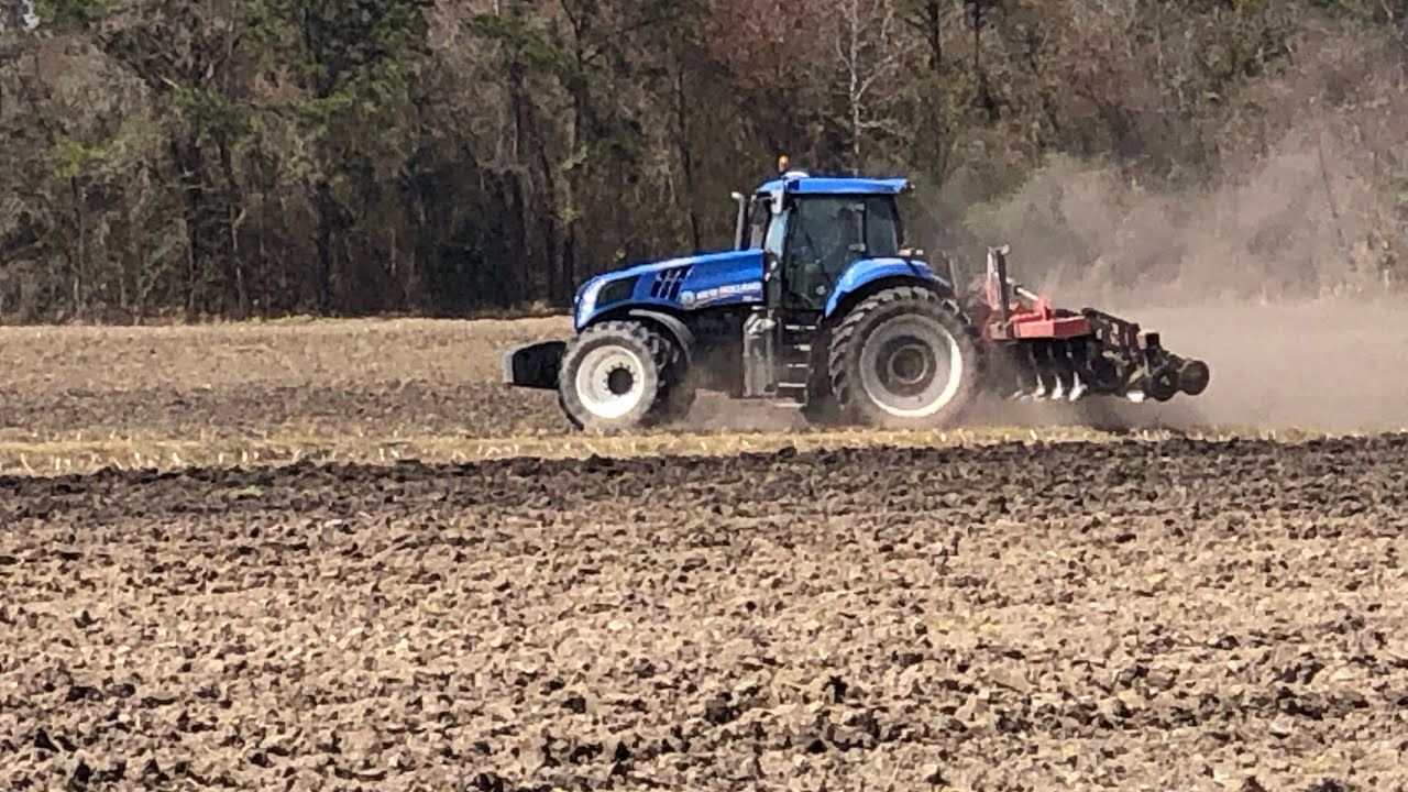The Last Day of Bedding Baccer Rows!!!