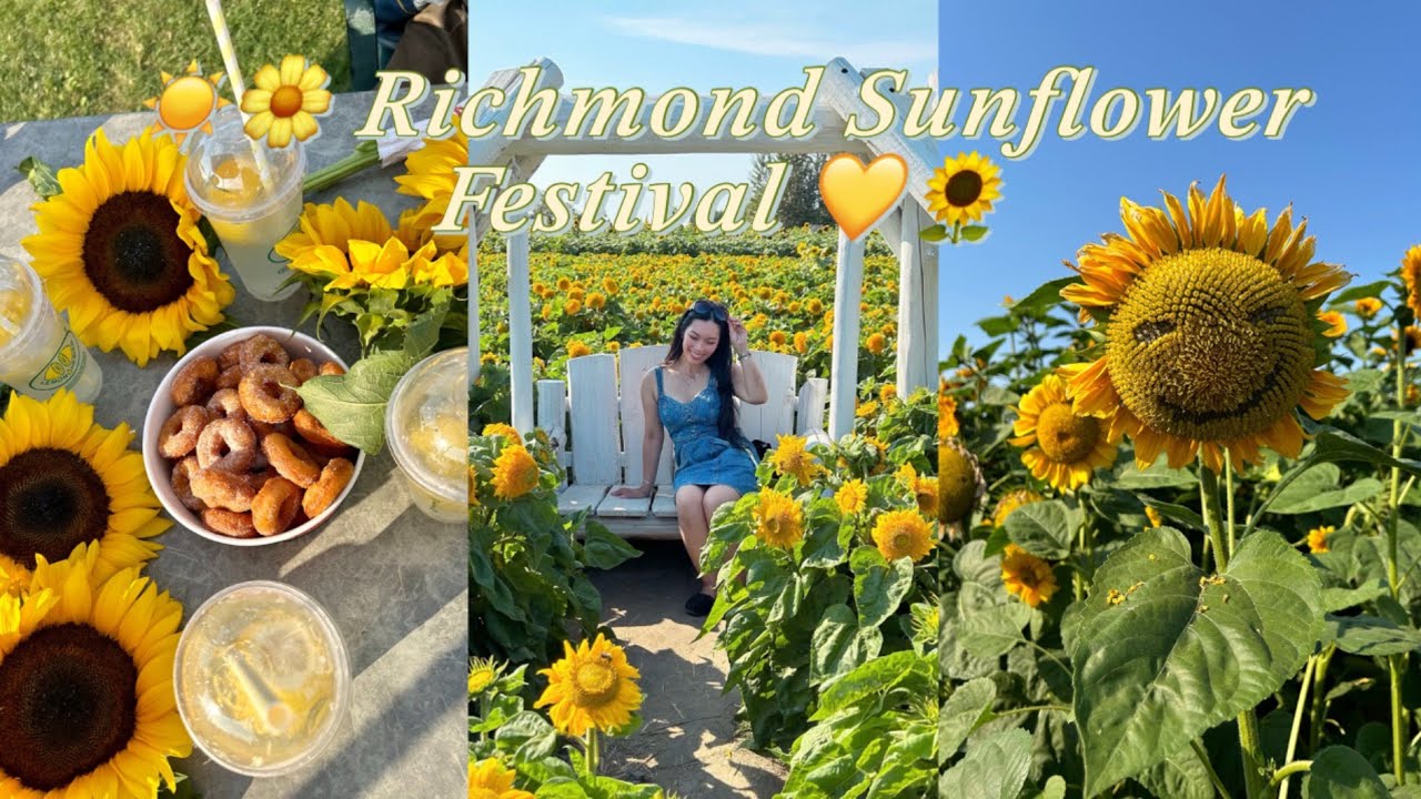 richmond sunflower festival | summer 2025