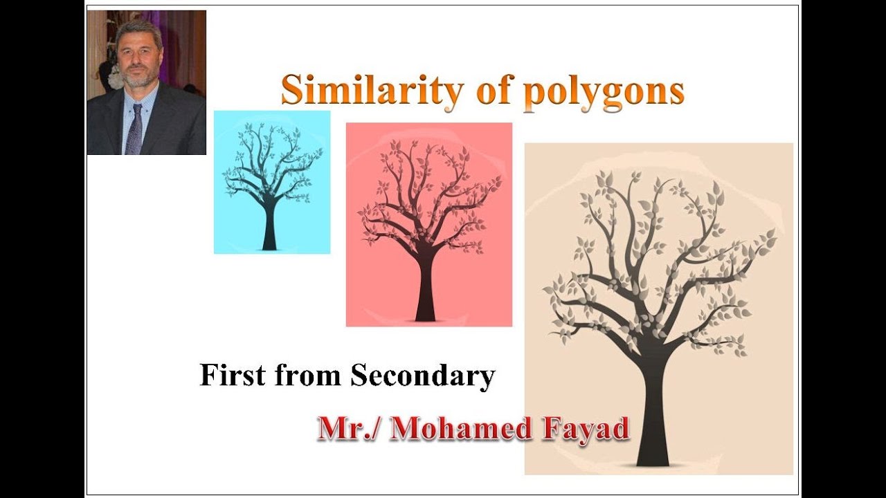 Similarity of polygons - تشابة المضلعات ( لغات )