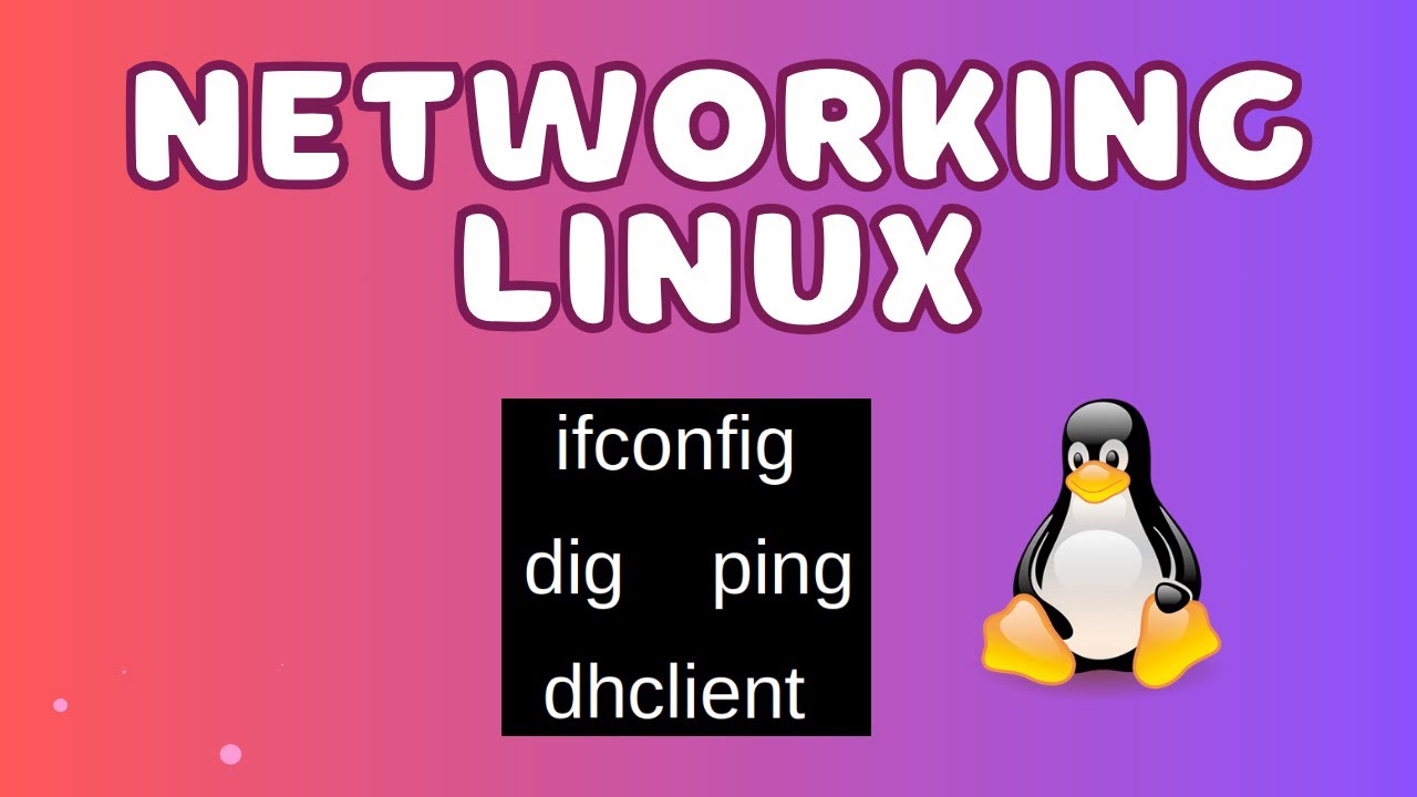 APRENDE SOBRE LOS COMANDOS DE RED EN LINUX