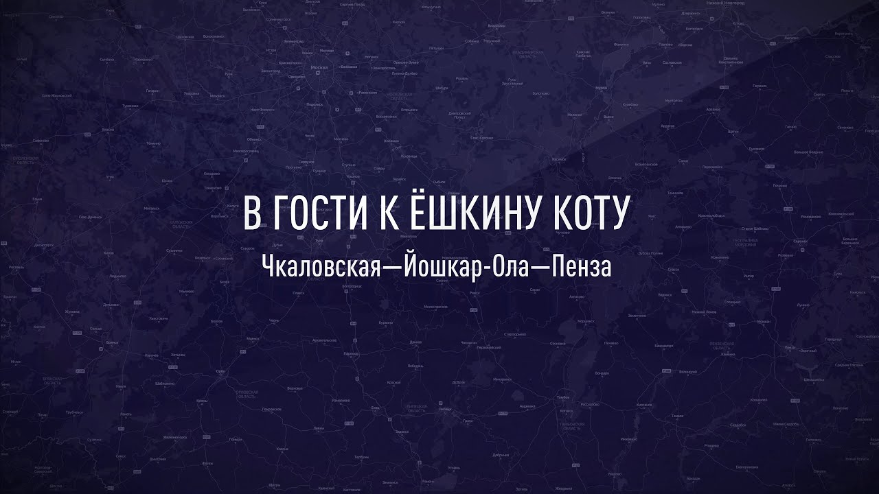 В гости к Ёшкину коту (4К)