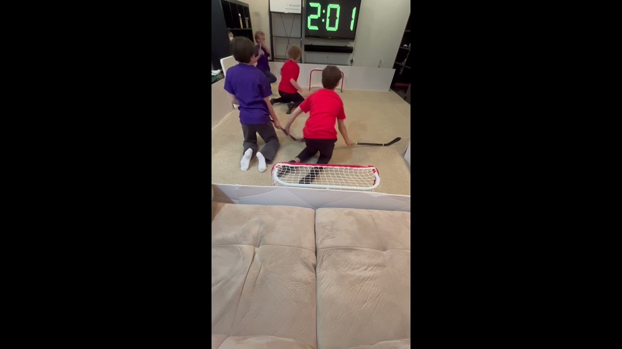 Falcons vs kings