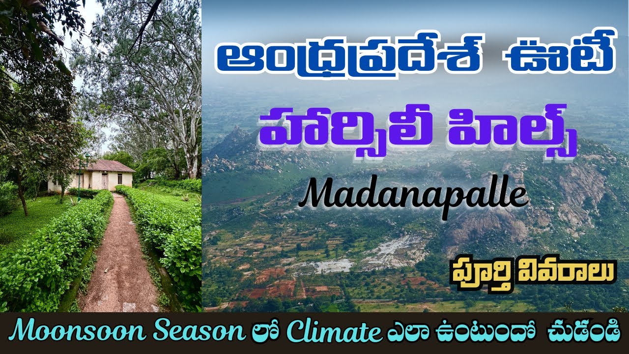 Horsley Hills Places to Visit | Andhra Ooty | Monsoon Season | Madanapalle | AP Tourism | Budget