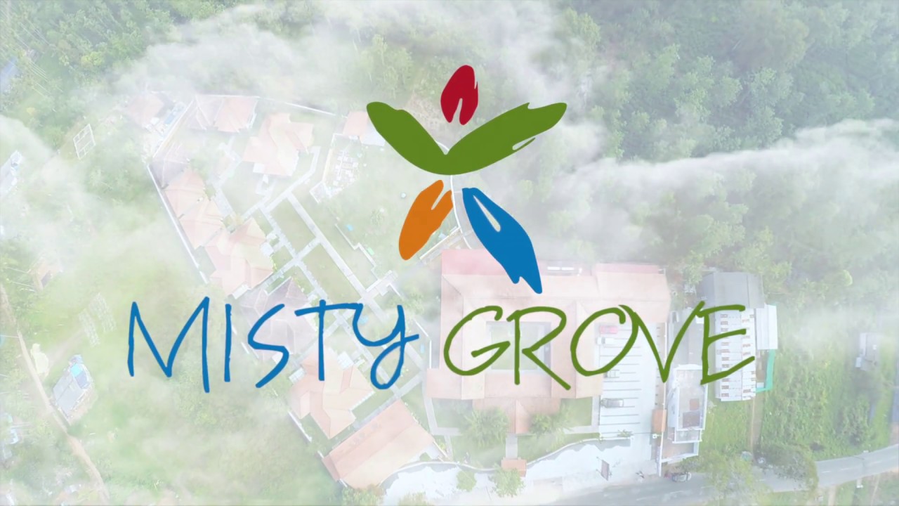Misty Grove Resort | English