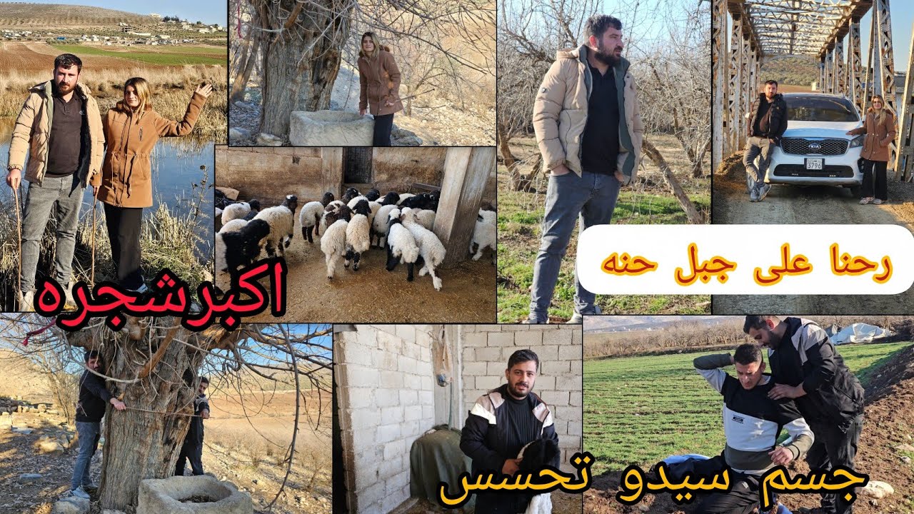 رحنا على جبل حنه🏔وبستان اهل فريده زكريات لفريده//ياحرام سيدو صار معو جرب😮‍💨...