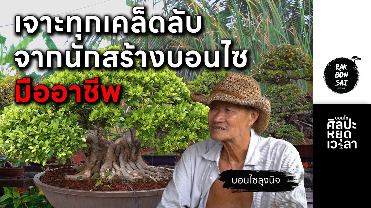 เจาะทุกเคล็ดลับจากนักสร้างบอนไซมืออาชีพ (บอนไซลุงนิจ) | EP.6 บอนไซศิลปะหยุดเวลา