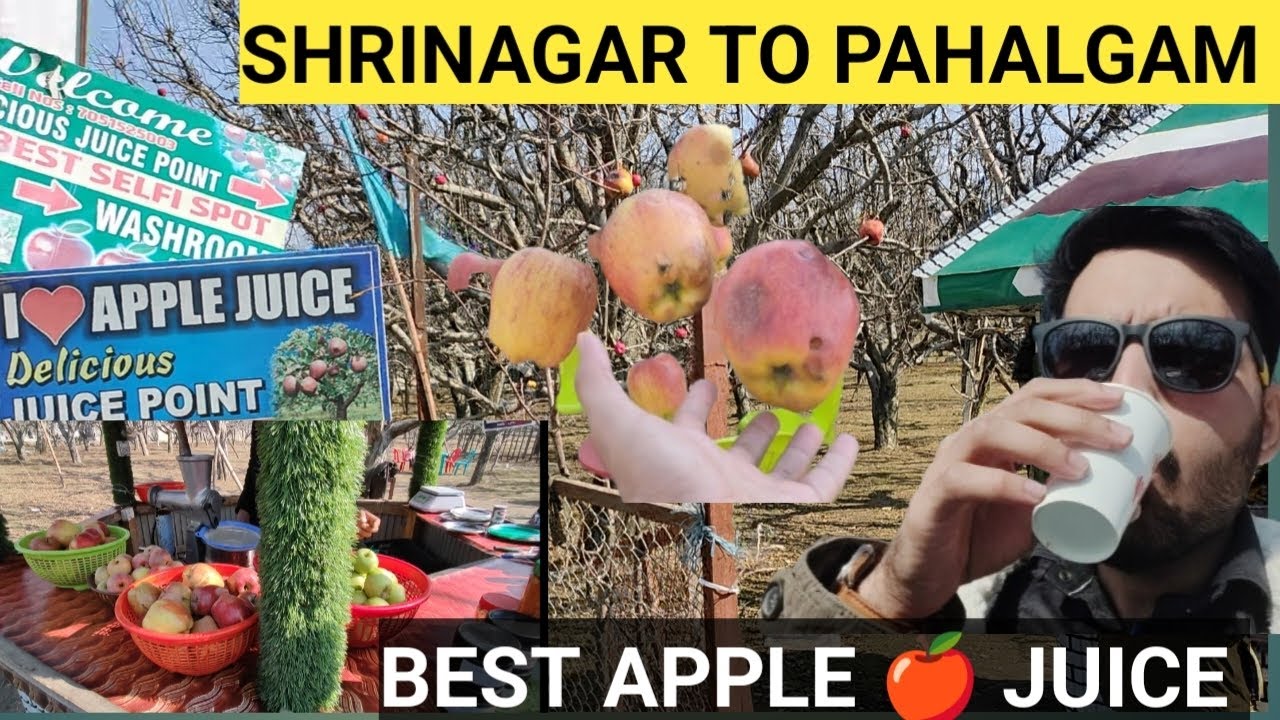 Exploring kashmiri Apple garden at pahalgam | SRINAGAR to pahalgam by road vlog 2025 #kashmir #vlog
