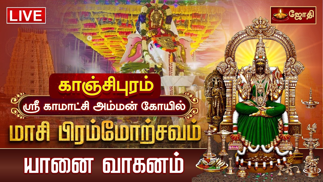 🔴LIVE: காஞ்சி ஸ்ரீ காமாட்சி அம்மன் கோயில் மாசி பிரம்மோற்சவம் யானை வாகனம் | Yaanai Vaganam | JothiTv