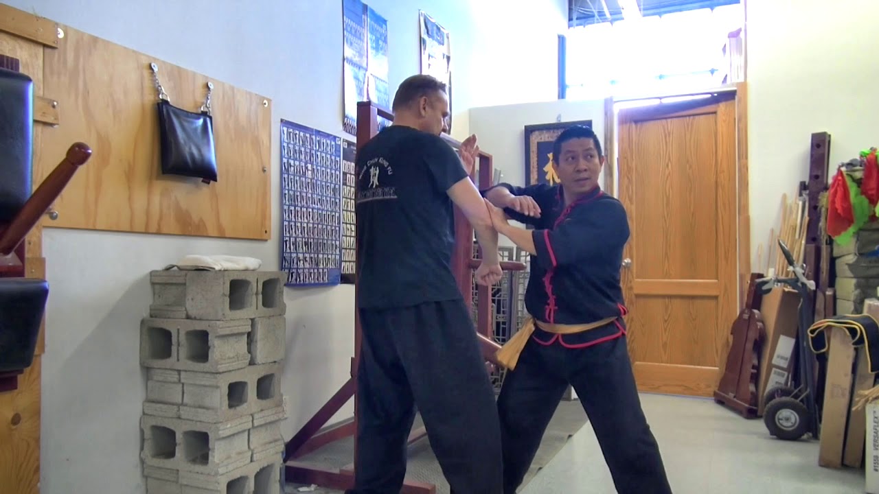 Wing Chun wooden dummy applications - Section 5 and section 6 in details