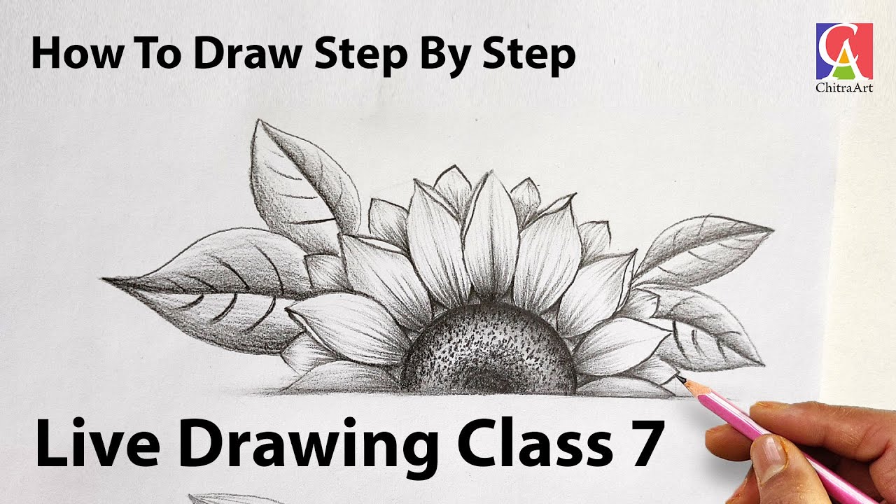 How To Draw Sunflower with Pencil Shading Easy Step By Step | Live Drawing Class 7