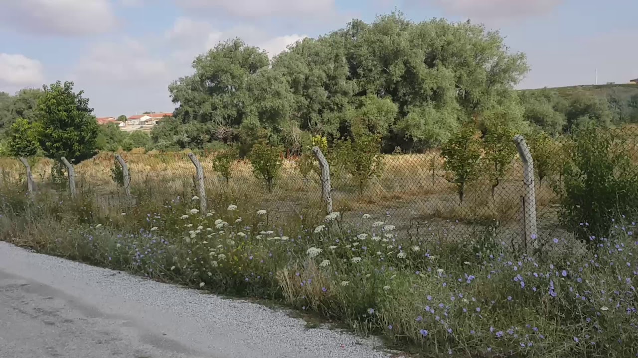 Başhüyük Sabahında Bisiklet Gezisi