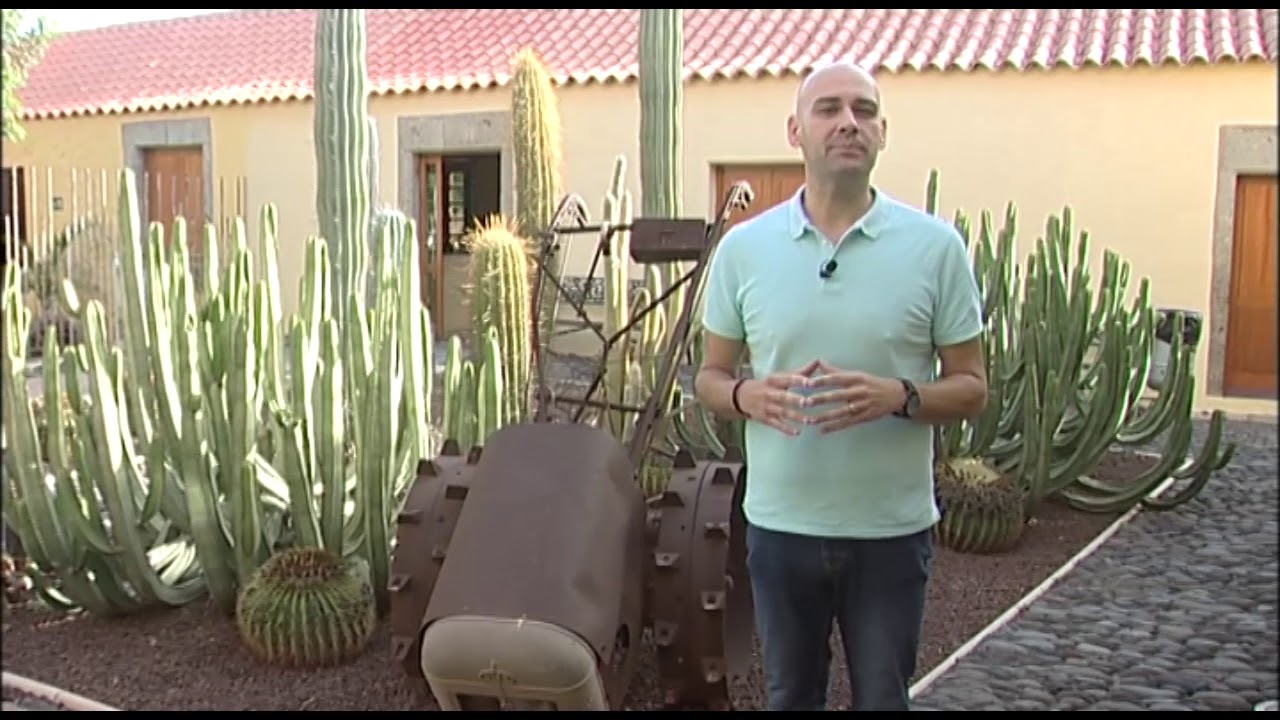 REPORTAJE | CONOCE EL MUSEO DE HISTORIA DE AGÜIMES