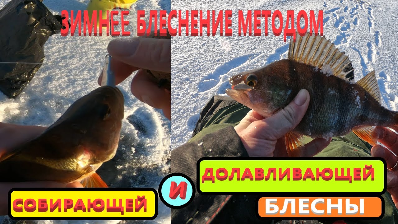Метод собирающей и долавливающей блесны на окуня.