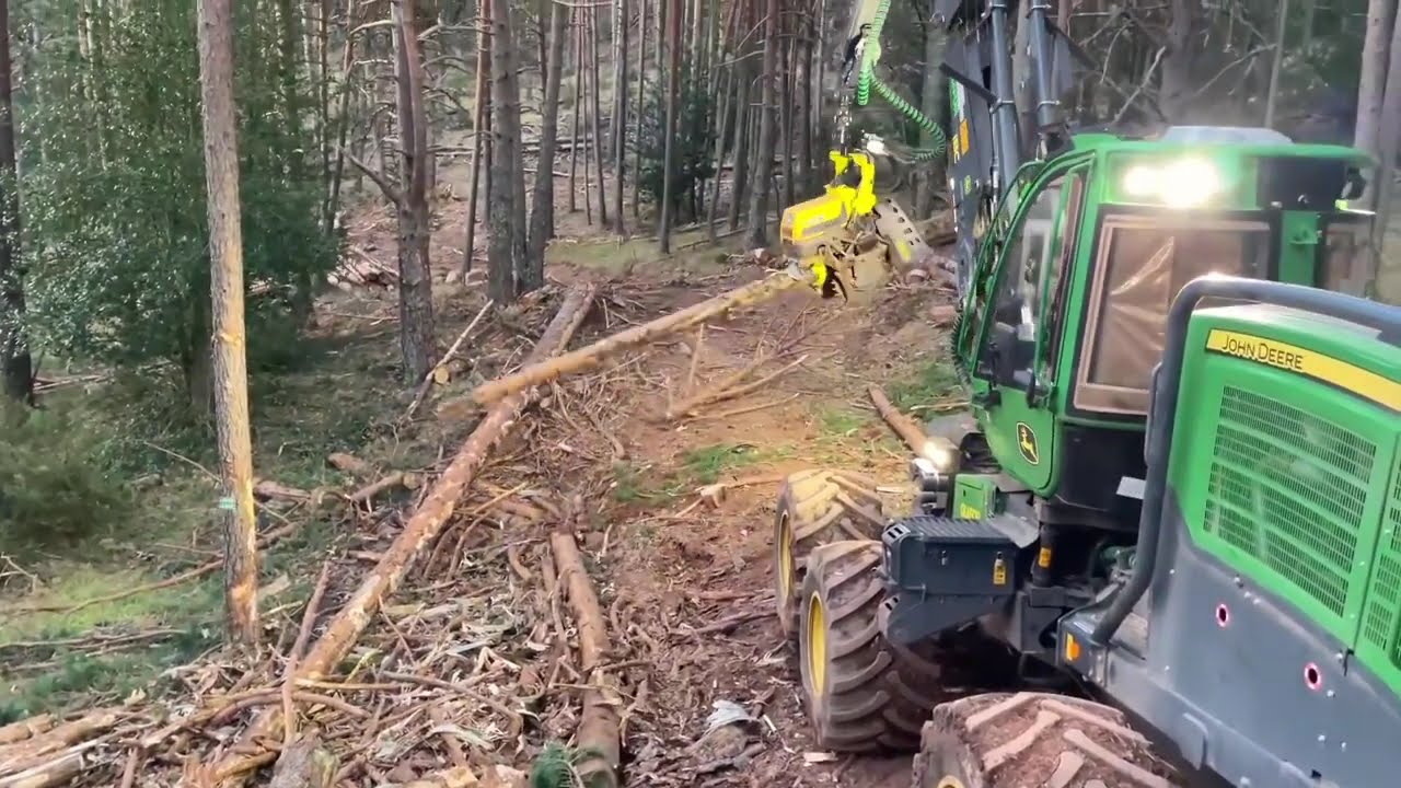 John Deere Forestry Equipment &ndash; Cosecha y Procesado de Madera con Haas.