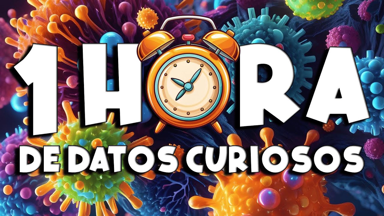 ¡ 1 HORA sin pausas de DATOS CURIOSOS y COSAS QUE NO SABÍAS ! ⏰😲 692 #curiomaníatv