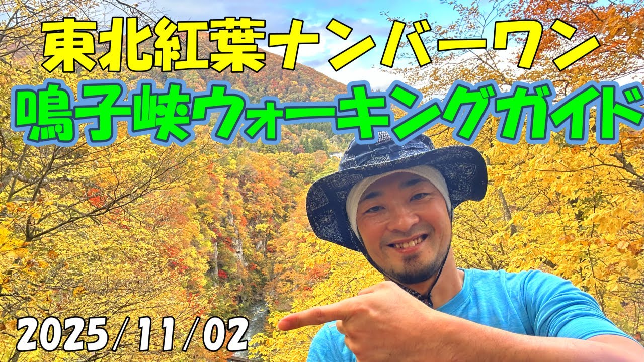 鳴子峡 紅葉散策ガイド モデルコース 観光 鳴子温泉駅 峡谷 大深沢橋 宮城県大崎市 レポート Autumn leaves in Naruko Miyagi gorge 25/11/2 【GoPro】