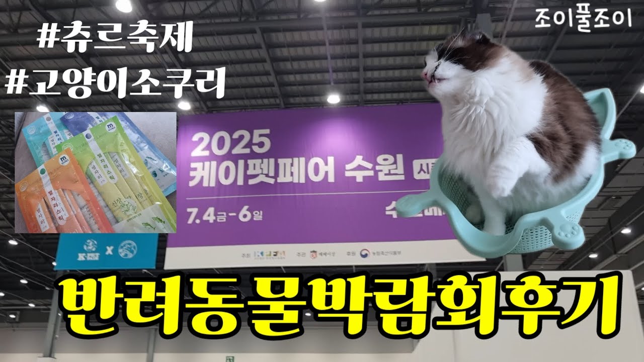 케이펫페어 수원편에 다녀왔어요 #고양이 #고양이영상