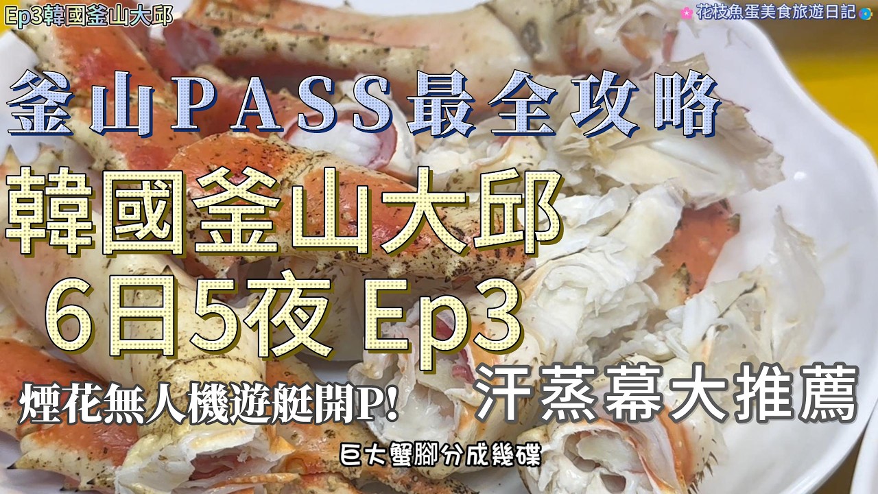 Ep3韓國釜山大邱|釜山PASS最全攻略|一片學會點玩先最賺!|煙花無人機遊艇開P!|汗蒸幕大推薦|韓服Flipbook手搖書|Busan X the Sky 100|韓燒自助放題善良的豬|韓國|釜山