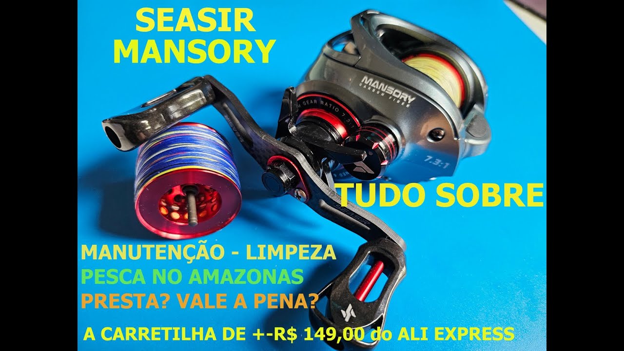 Tudo sobre a Mansory