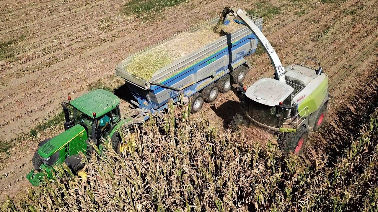 Claas Jaguar 980 | Trinciato mais 2021