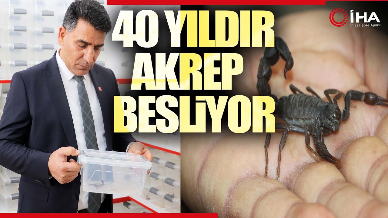 40 Yıllık Akrep Üreticisinden ABD’li Profesöre Tepki