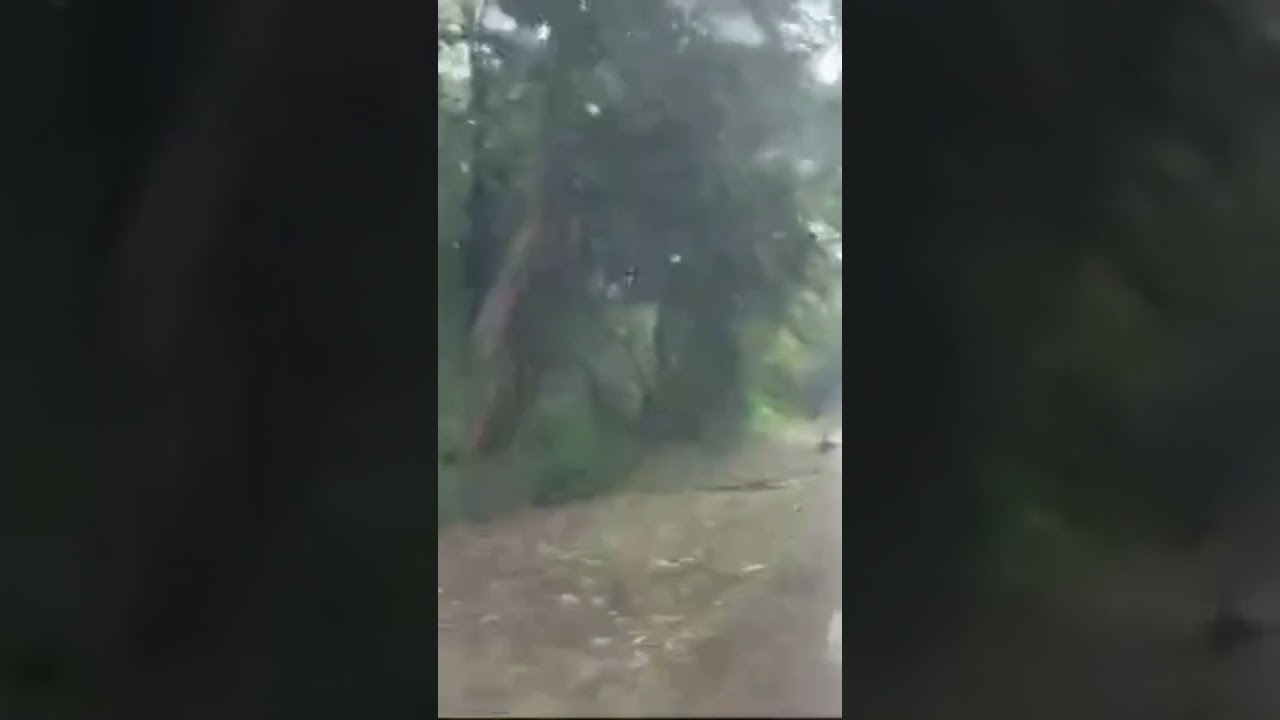 Cyclone Dana 2024 in odisha