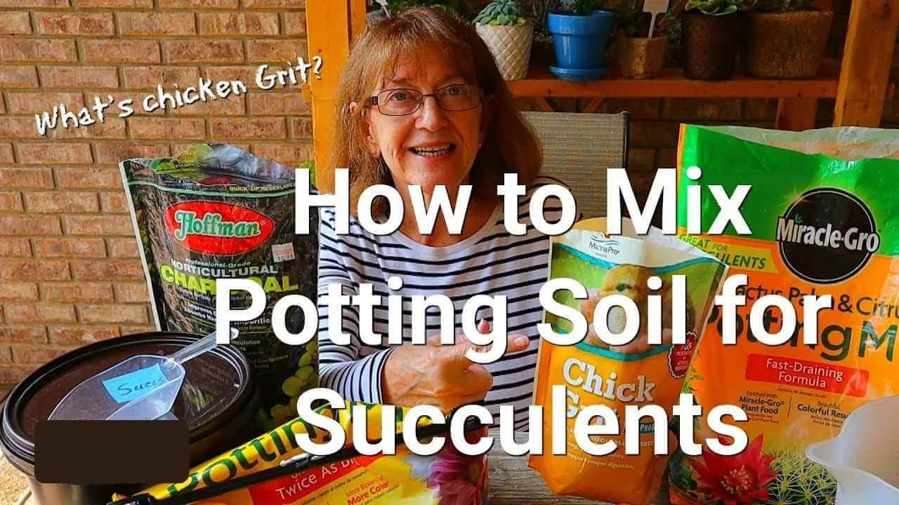 What is Chicken Grit? How to Mix Potting Soil for Succulents - and Other Plants Too!