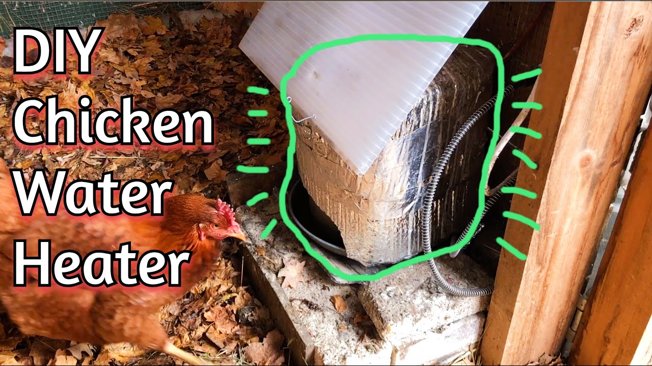 Chicken Water Heater - Easy DIY and reliable