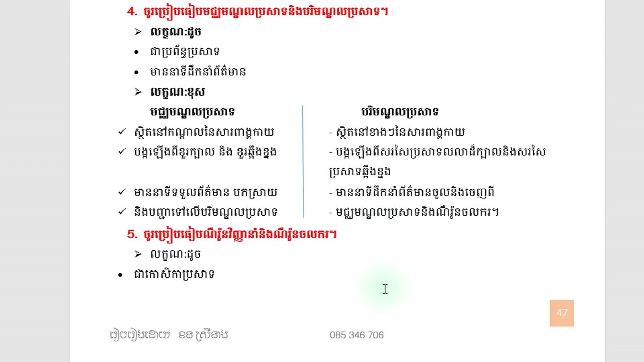 សំណួរប្រៀបធៀបសុទ្ធ ២០២៤