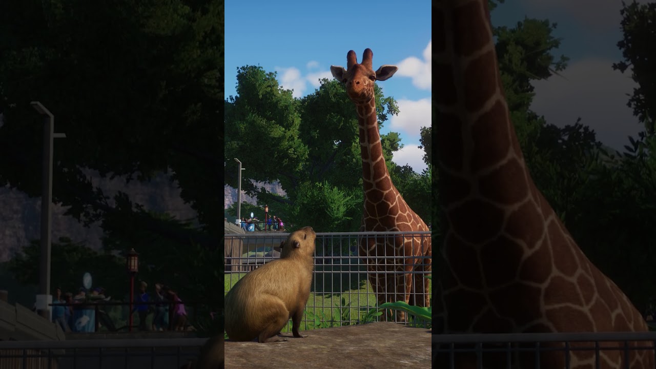 это возмутительно #planetzoo #gaming