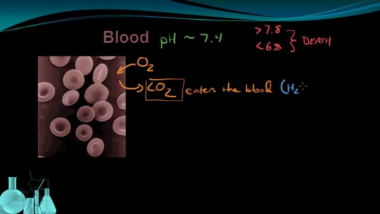 Chemistry 12.7 Buffers