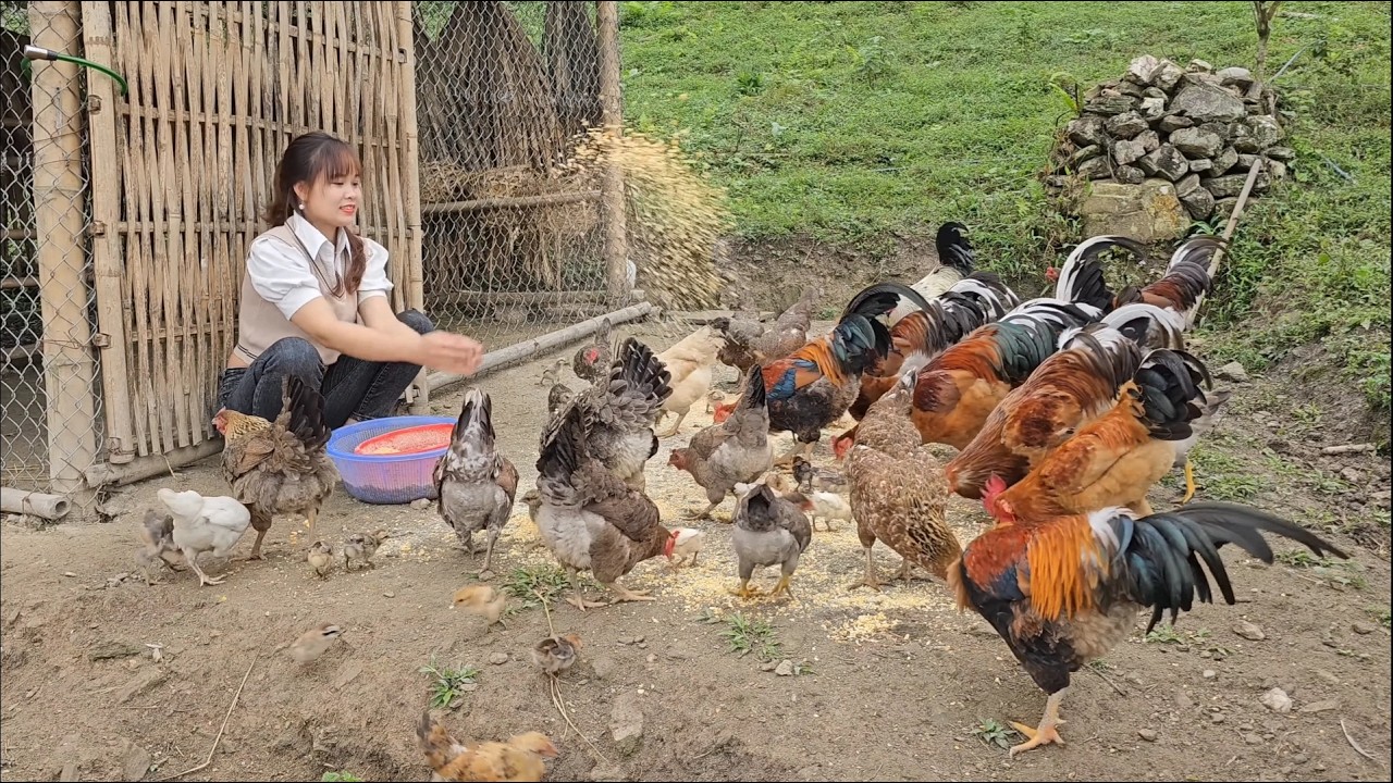 I built a concrete road, a concrete yard on my farm. the root vegetables that I cooked for food.