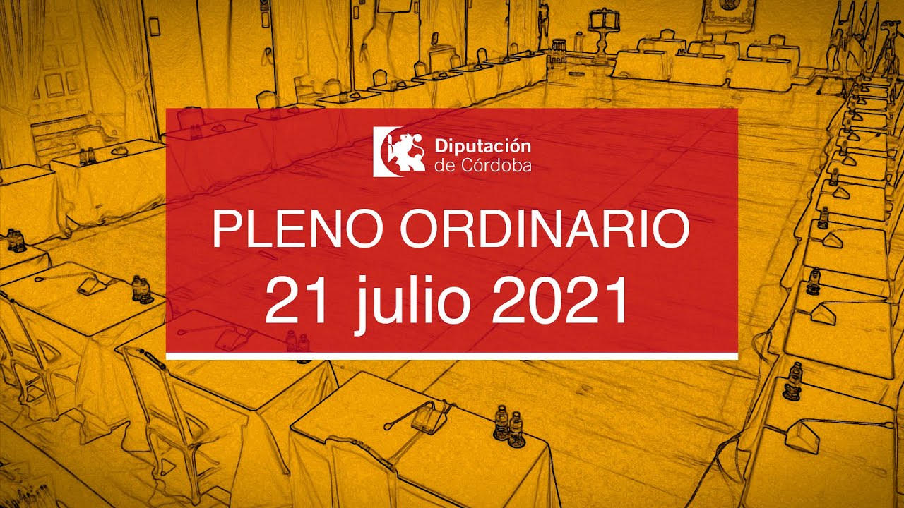 Pleno ordinario de la Diputación de Córdoba | 21 julio 2021