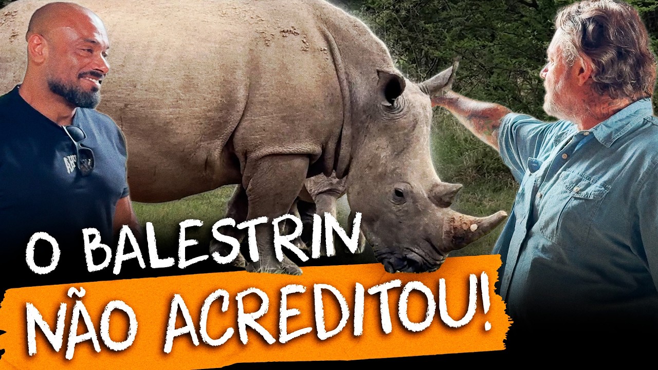 😱 BALESTRIN FRENTE A FRENTE COM 3 TONELADAS DE PURO PODER! O rinoceronte africano 🦏