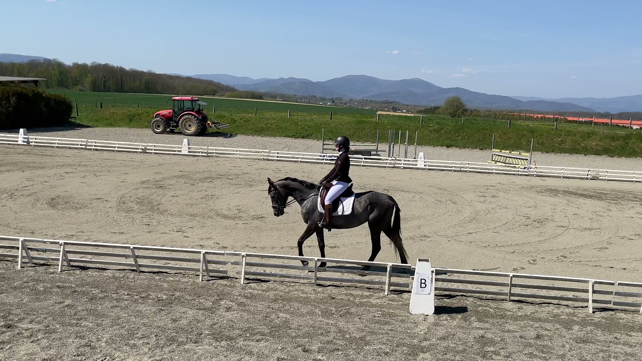 2021-04-24 Dressage Hecken - Club 2 préliminaire