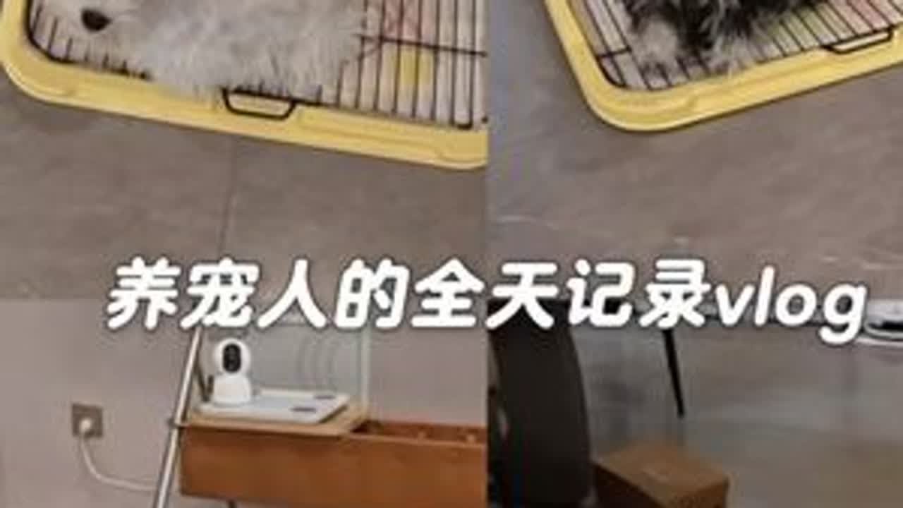 vlog.58 | 养宠人的全天记录，小狗上厕所方法找对学的就是快啊！姨姨们快来看啊！真的太开心啦！