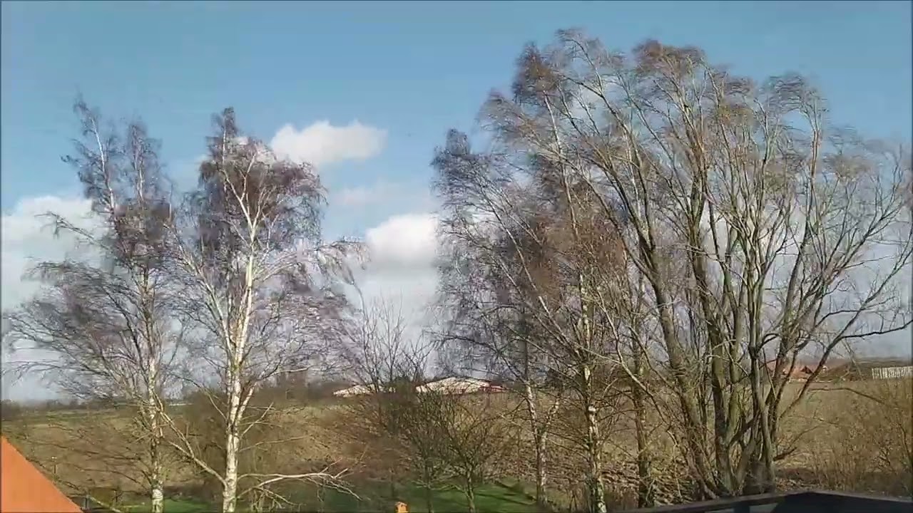 Tempête Eunice (Laventie 62) Rafales 120/140km/h