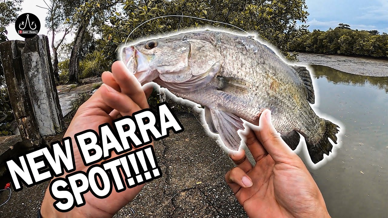 Found A New Spot At Pulau Ubin!!! [BARRAMUNDI FISHING]  - Episode 33