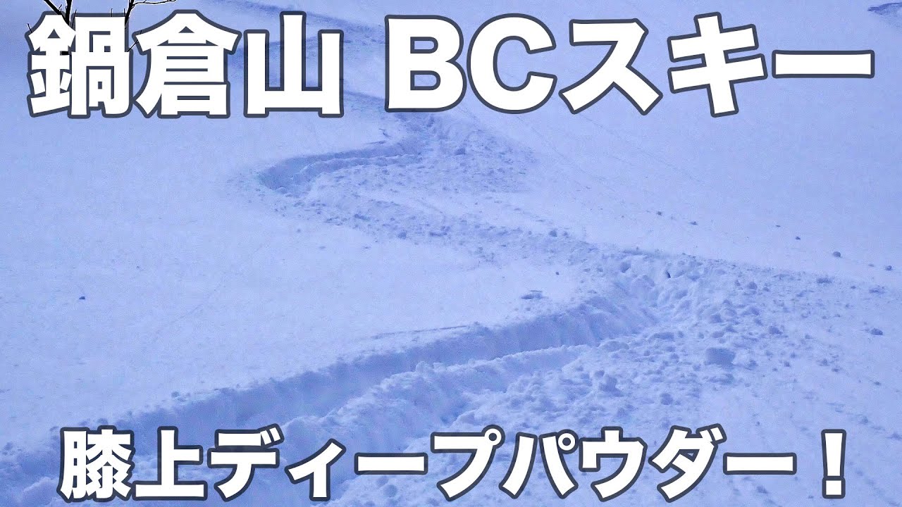 【超速報】鍋倉山 BCスキー 2026年2月3日 膝上ディープパウダー！