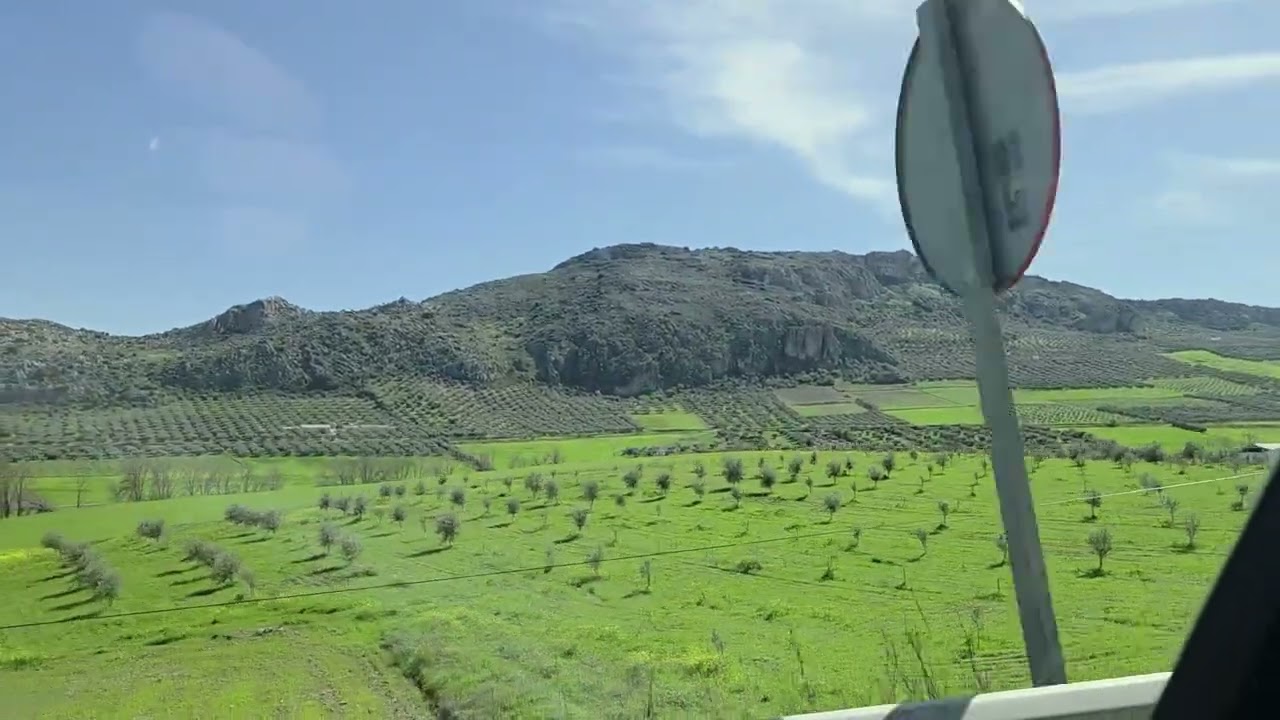 Automatka Pizarro - Setenil de las Bodegas, Espanja