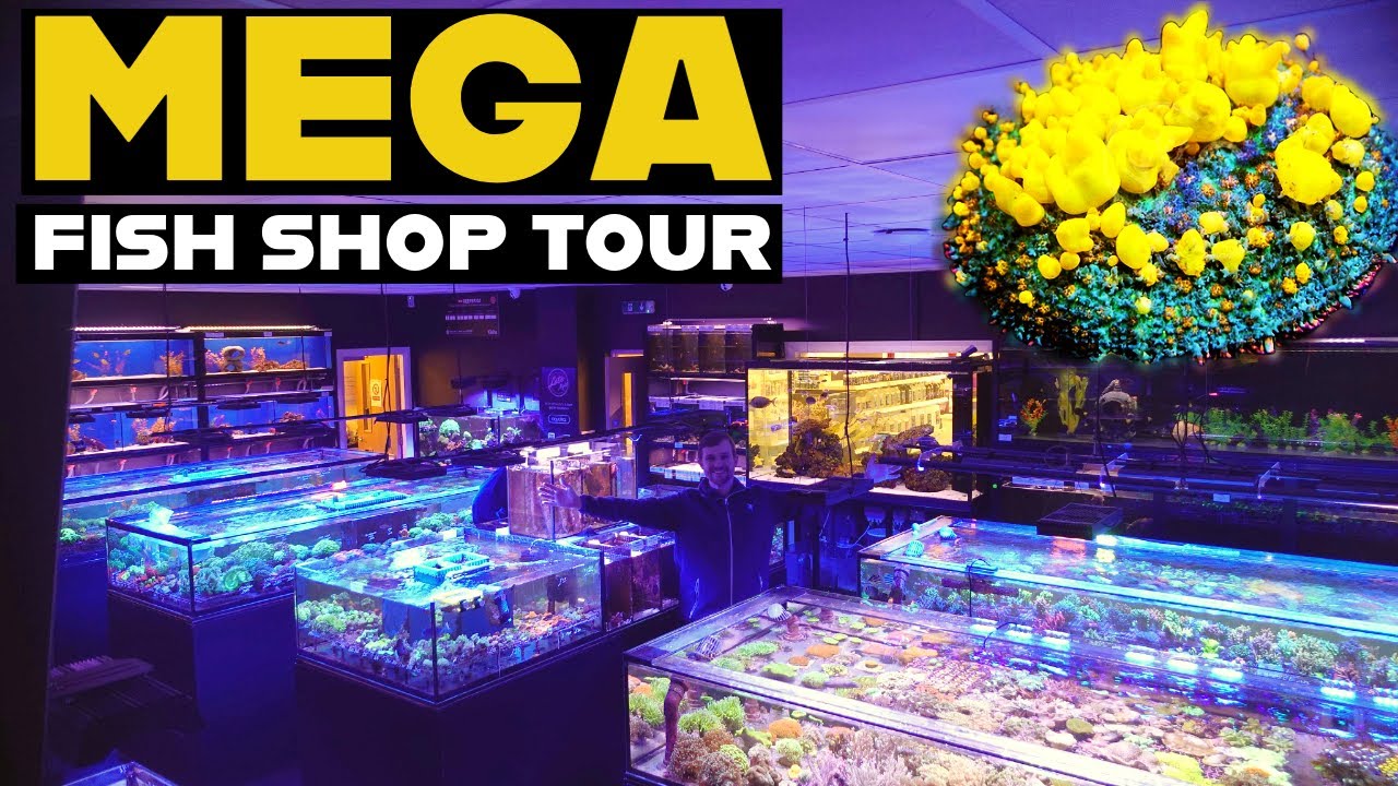 FINEST AQUATICS | MASSIVE AQUATIC WAREHOUSE TOUR
