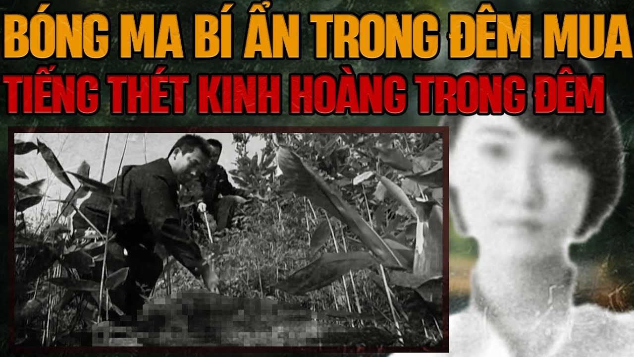 Kỳ Án Trung Quốc: Bức Thư Cuối Cùng Đằng Sau Án Mạng Đỏ