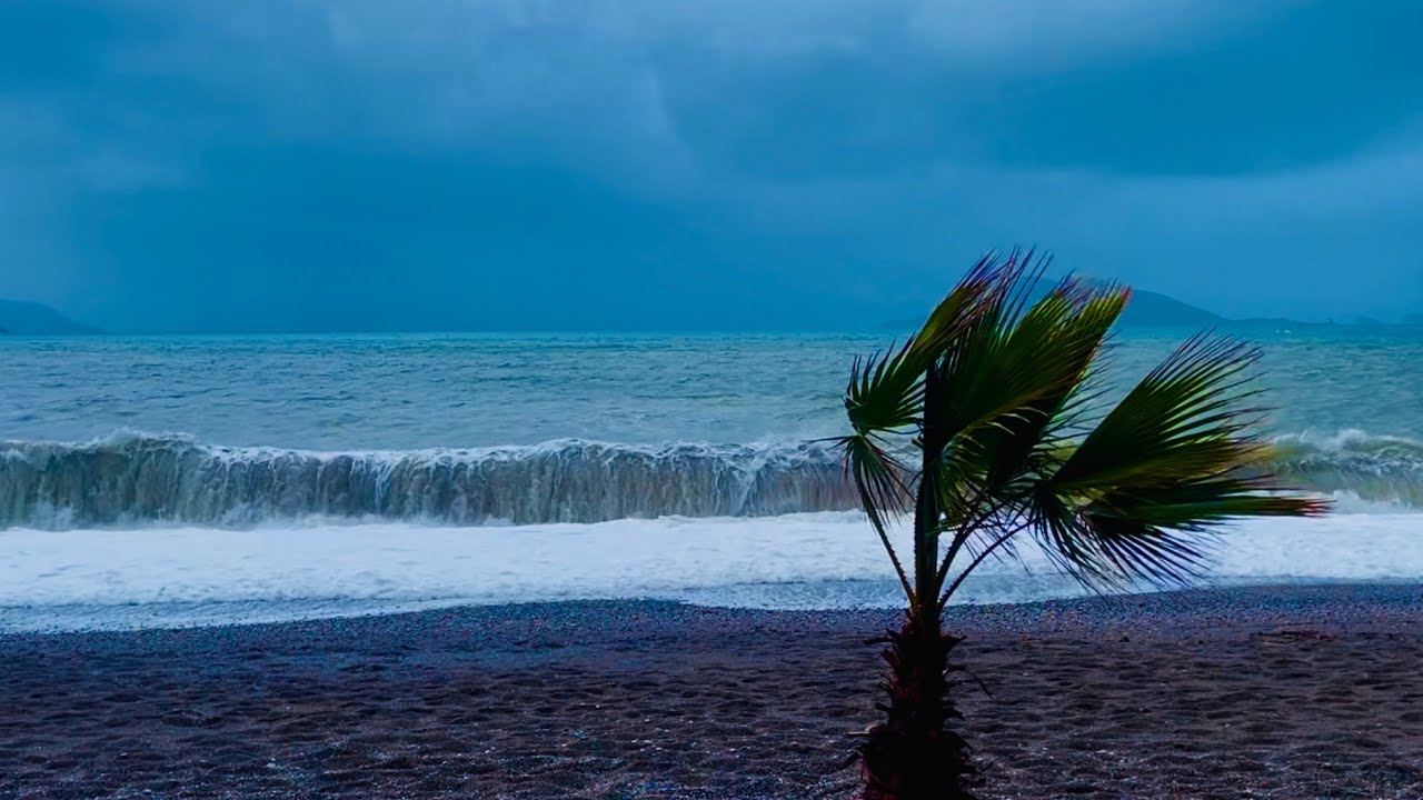 4K Storm Waves & Heavy Rain Sounds 🌧️ Powerful Ocean Ambience for Deep Sleep, Relaxation & Study